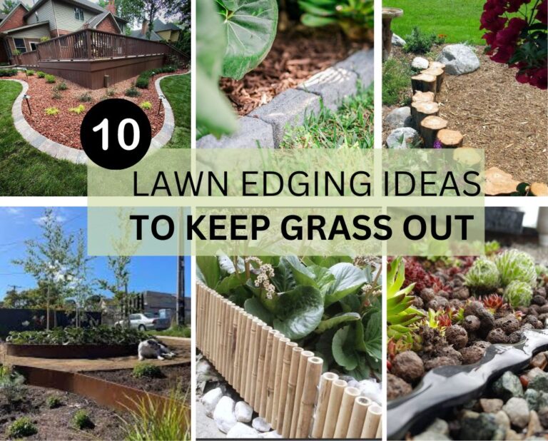 Lawn Edging Ideas To Keep Grass Out