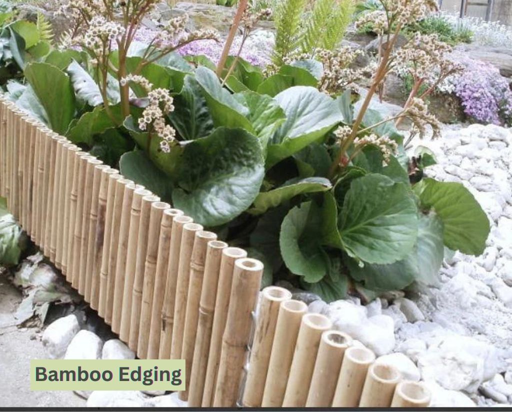 Bamboo Edging