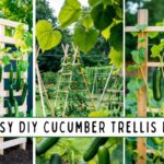 DIY Cucumber Trellis Ideas