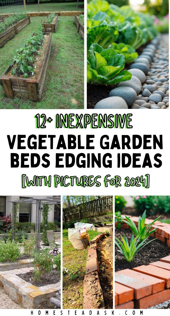 Inexpensive Vegetable Garden Bed Edging Ideas