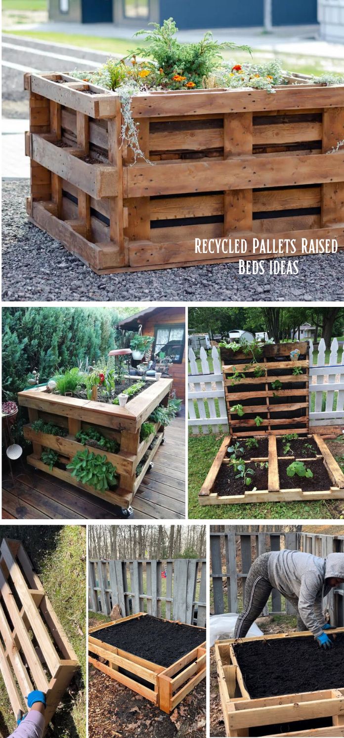 Recycled Pallets raised garden beds