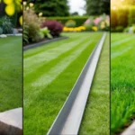 Lawn Border Ideas