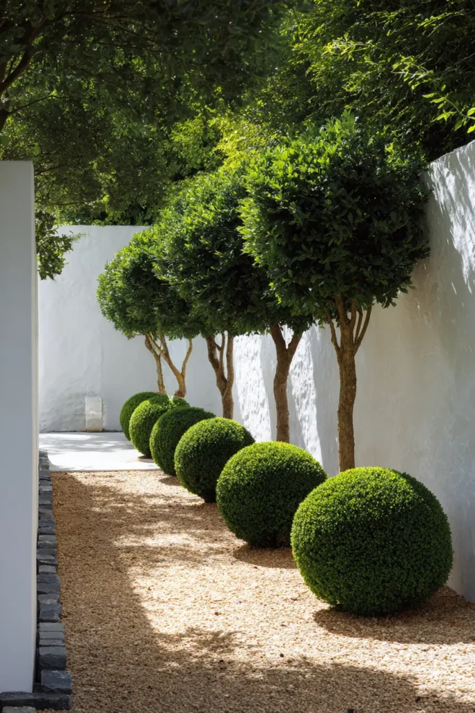 Boxwood Borders with Mulch Pathway