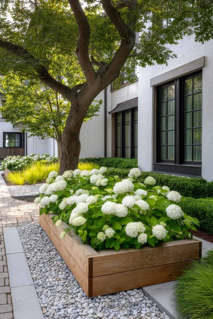 Hydrangeas with Bark Garden Border