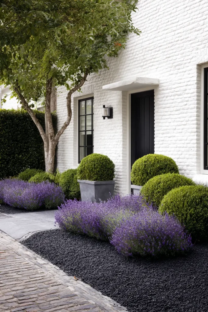 Contemporary Black Mulch with Boxwood Accents