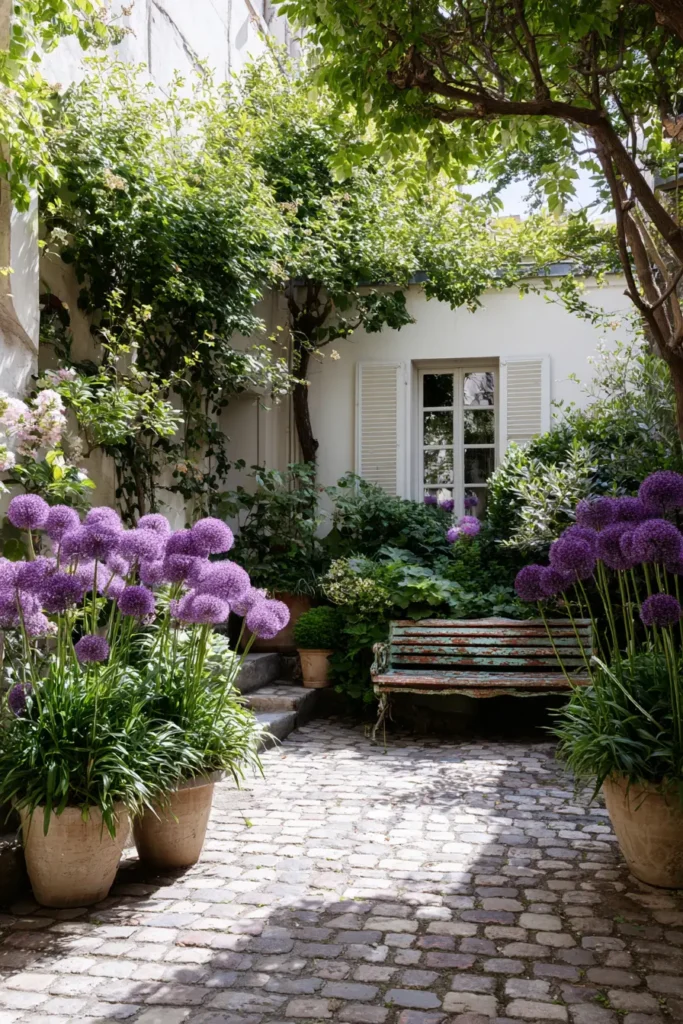 Contemporary Courtyard with Alliums and Stone