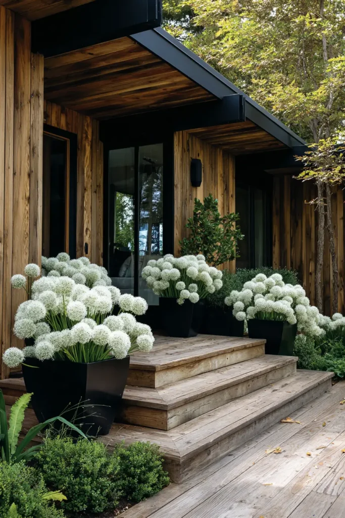 Contemporary Wooden Garden Shed Entrance