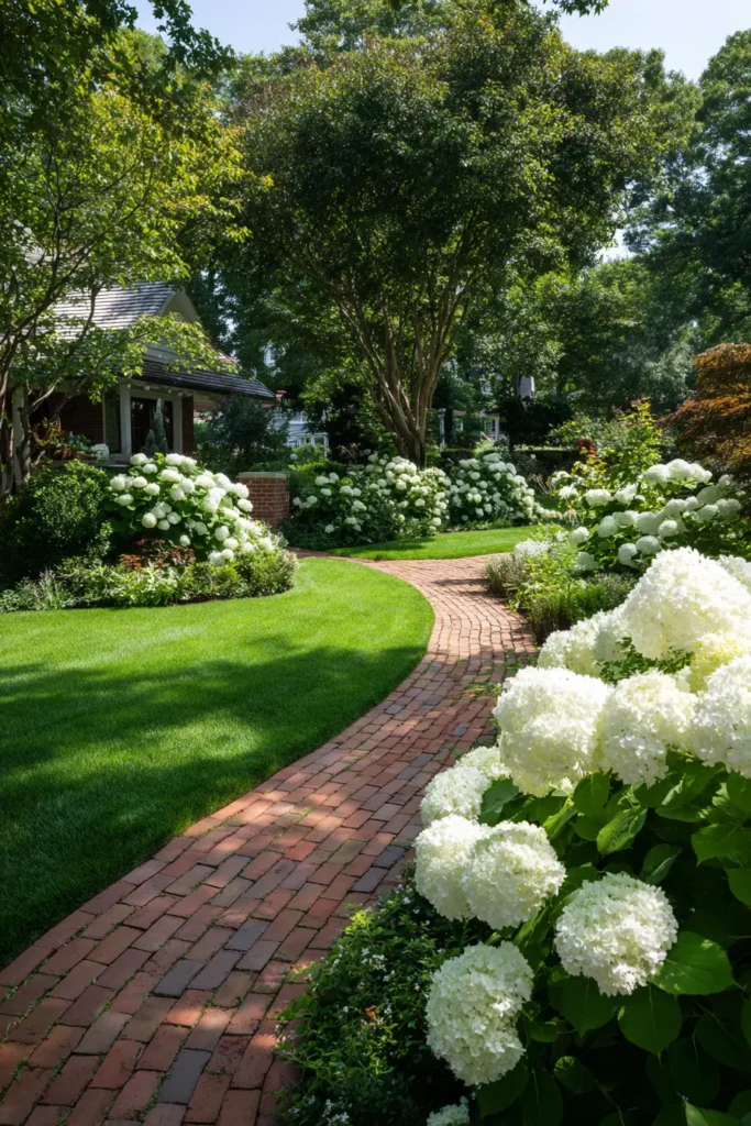 Curved Pathway with White Hydrangeas
