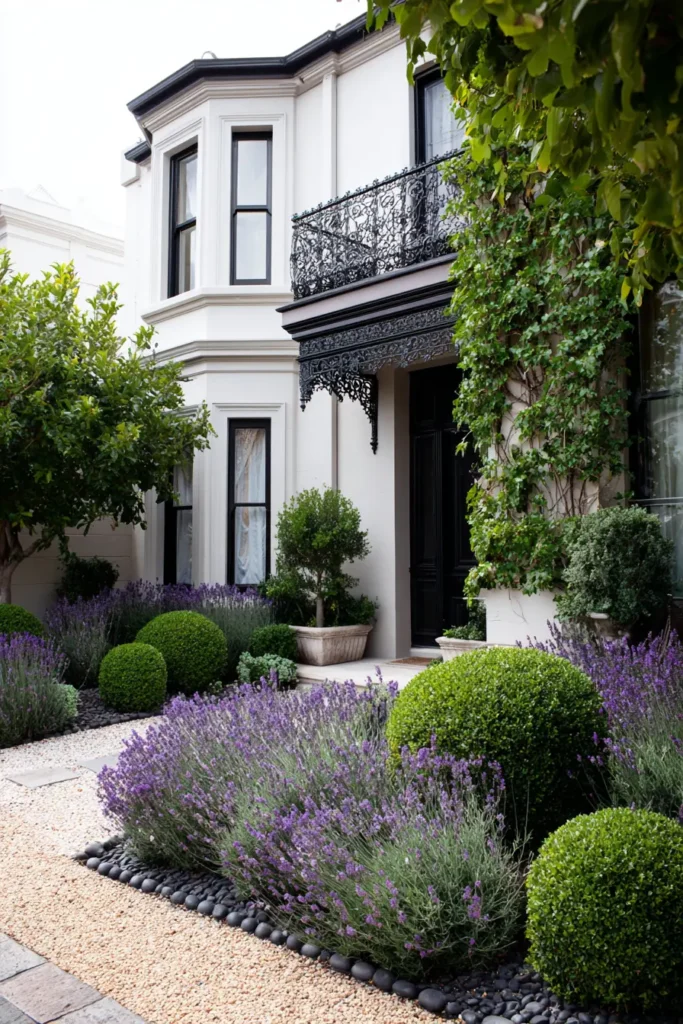 Elegant Lavender and Boxwood Garden