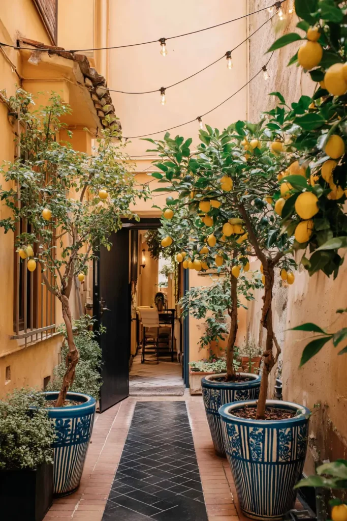 Italian Citrus Courtyard