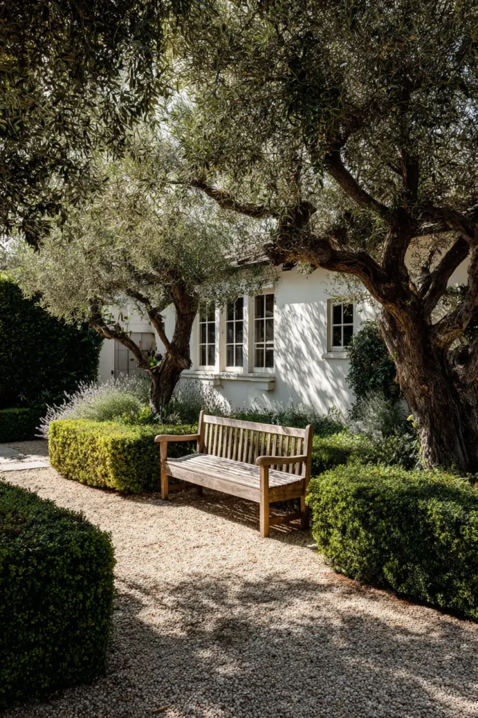 Minimalist Mulched Space with Boxwoods