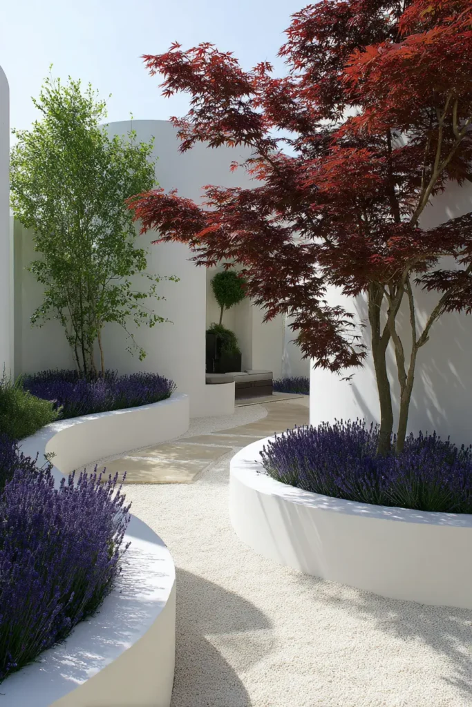 Modern Lavender and Japanese Maple Garden