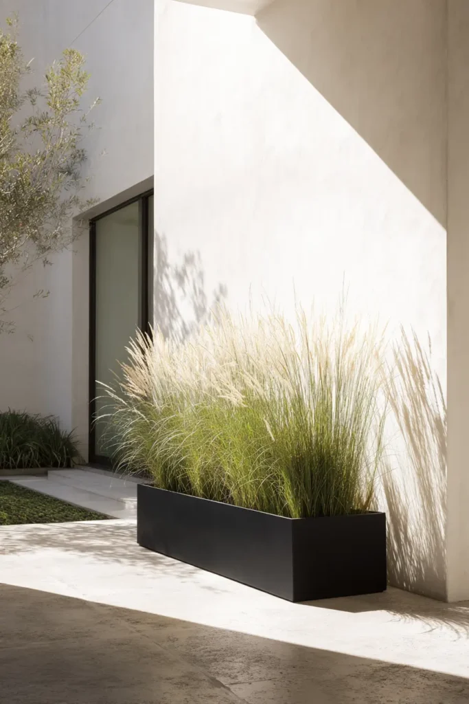 Modern Minimalist Garden Border