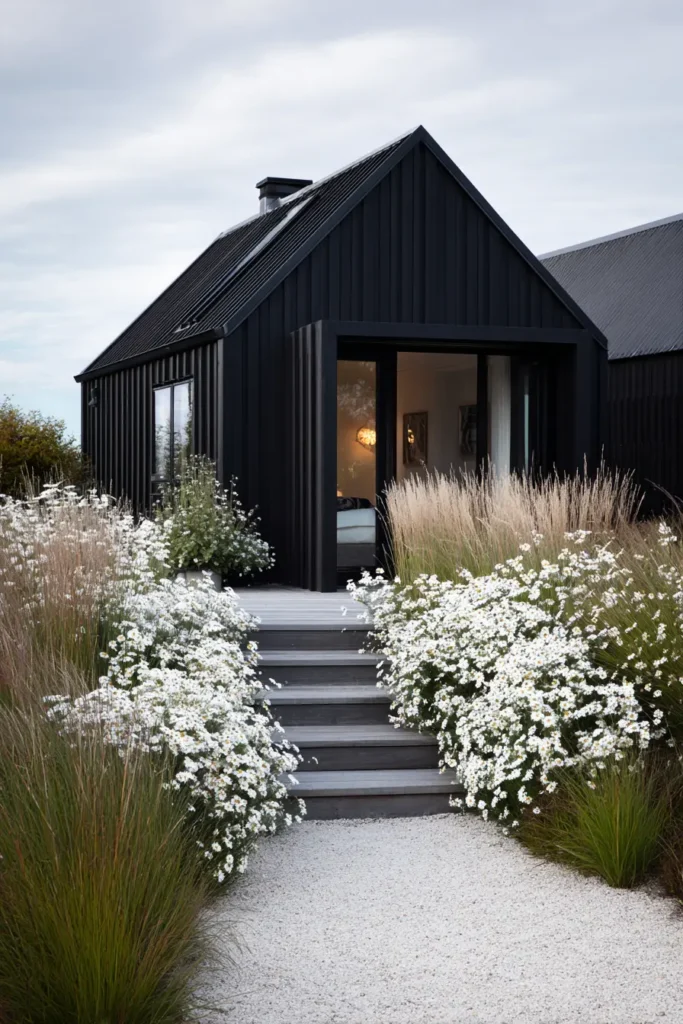 Modern Shed with Ornamental Grasses