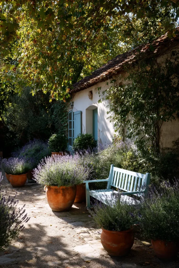 Rustic Lavender Courtyard with Bench