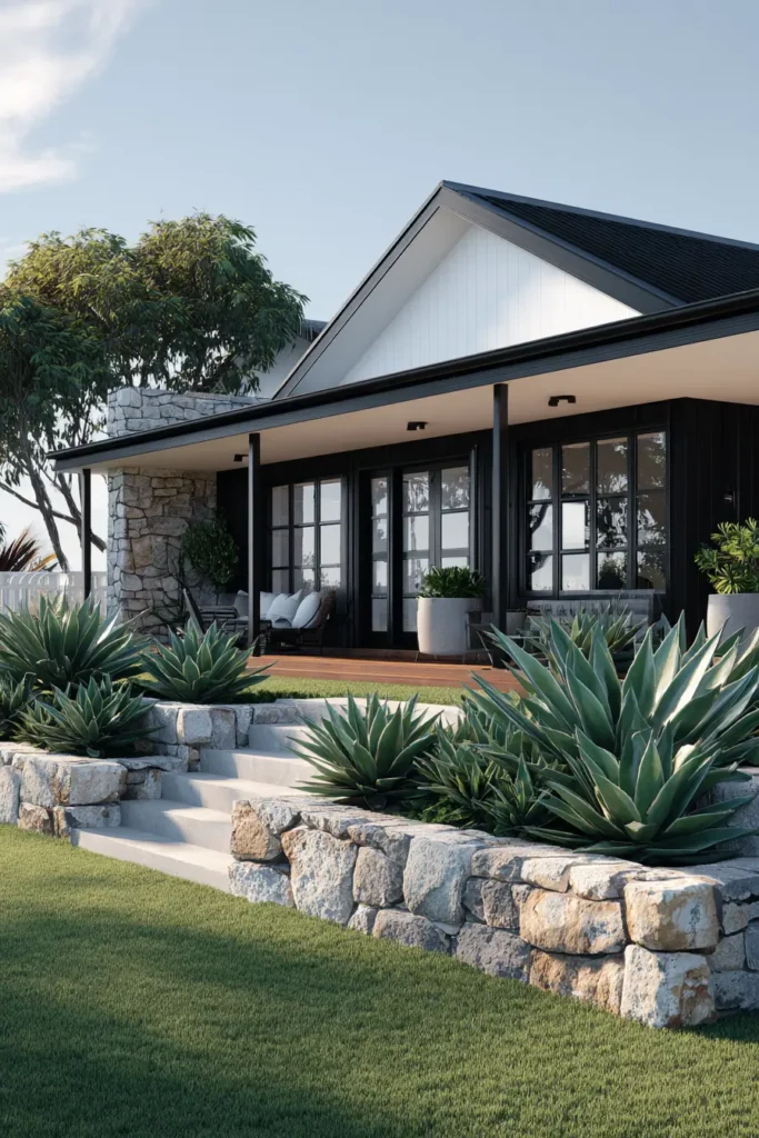 Sleek Succulent Garden With Black Mulch