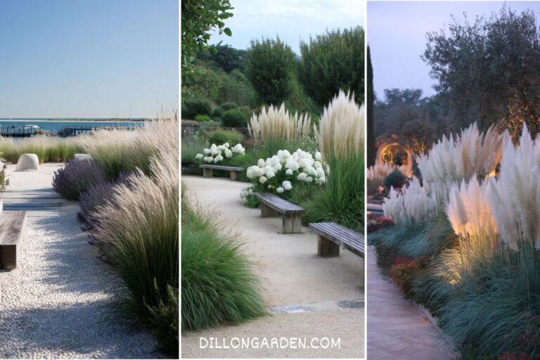 20 Stunning Gardens Ideas That Showcase the Beauty of Ornamental Grasses