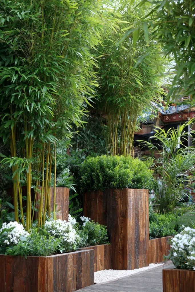 Lush Bamboo Screening for Backyard Privacy