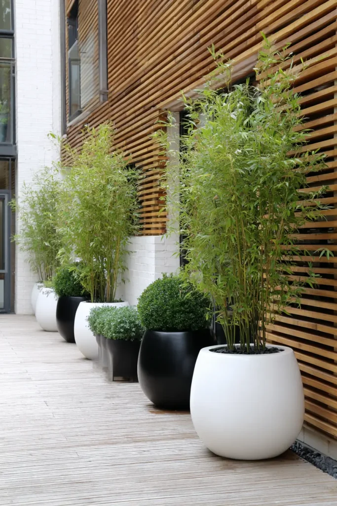 Modern Bamboo and Potted Greenery Retreat