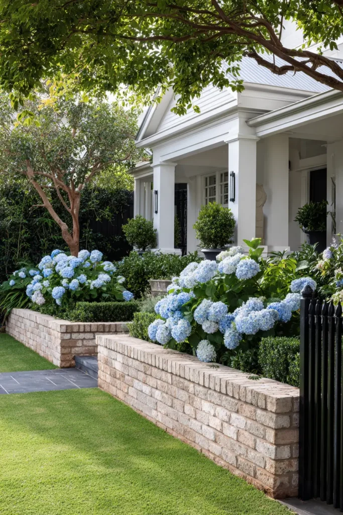 Modern Hydrangea Brick Raised Beds