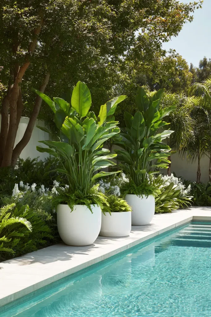 Tropical Greenery with White Flowers