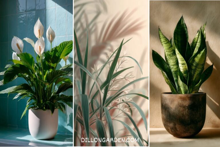 17 Indoor Plants Ideas Will Literally Clean the Air In Your Home