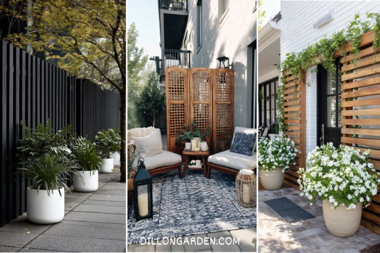 20 Outdoor Privacy Screen Ideas for Your Cozy Retreat
